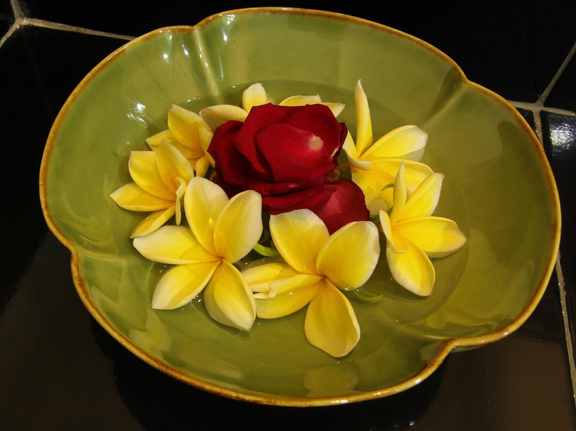 Frangipani Homestay Nusa Dua  Eksteriør bilde