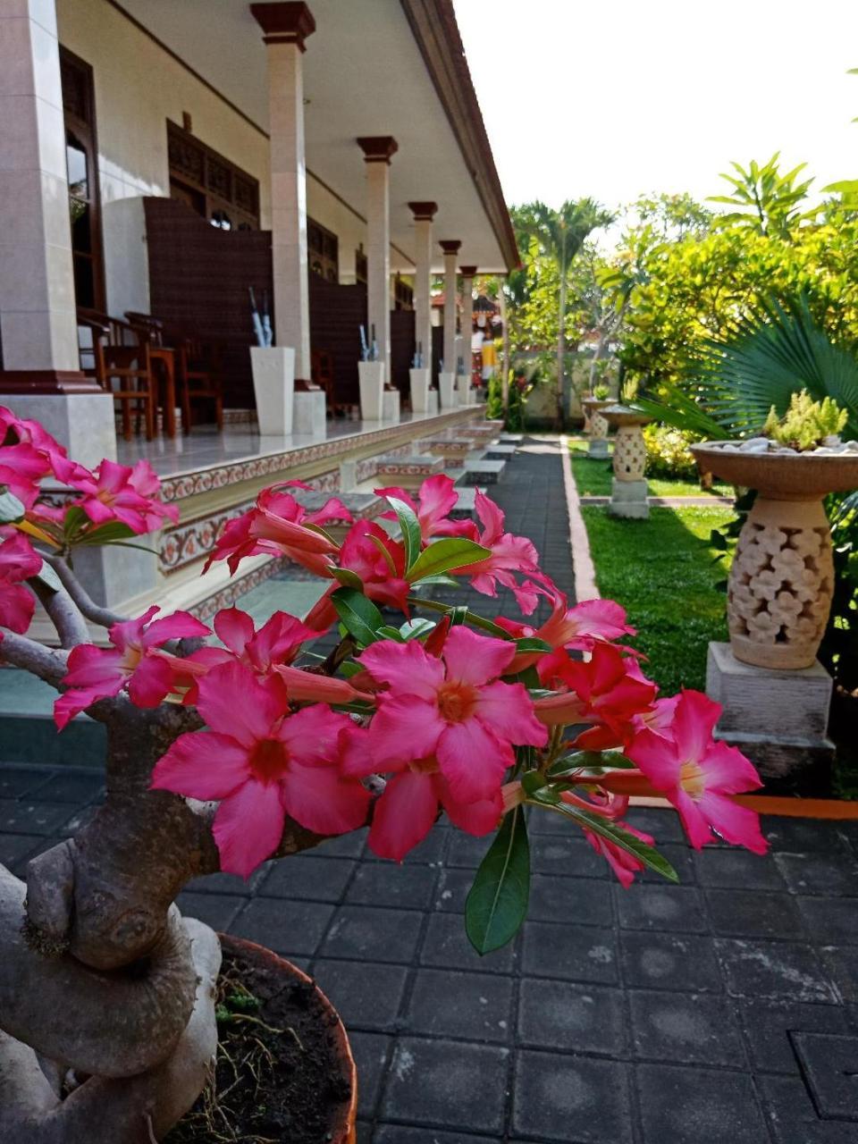 Frangipani Homestay Nusa Dua  Eksteriør bilde